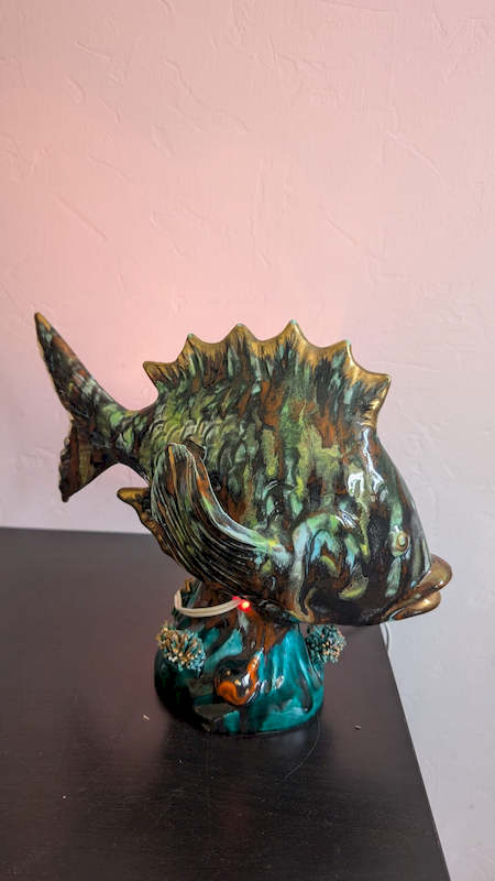 Gros plan sur la nageoire dorsale lampe veilleuse Vallauris