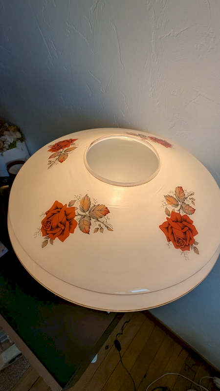 Éclairage chaleureux et fascinant de la lampe œuf d'autruche allumée