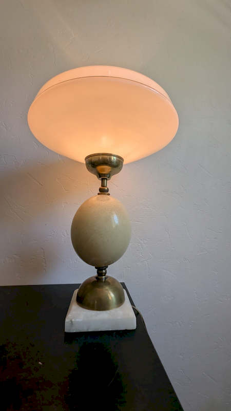 Éclairage chaleureux et fascinant de la lampe œuf d'autruche allumée